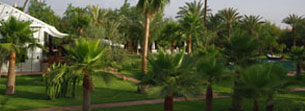 Luxury boutique hotels in Marrakech